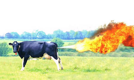 The domesticated cow is going to fart itself to oblivion if it's not careful.